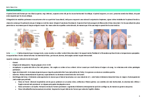 Exploracio-pulmonar.pdf