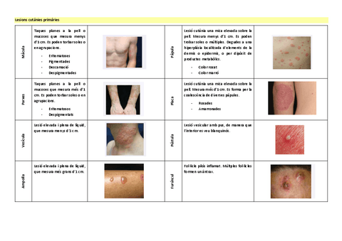 Lesions-cutanies.pdf