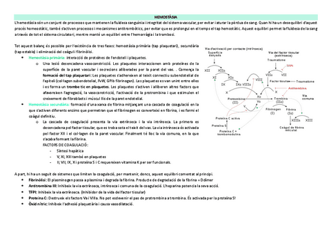 HEMOSTASIA.pdf