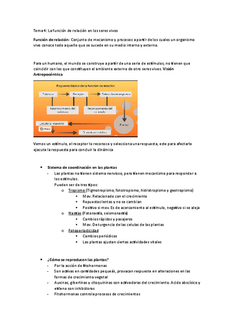 Tema-4-Funcion-de-relacion.pdf