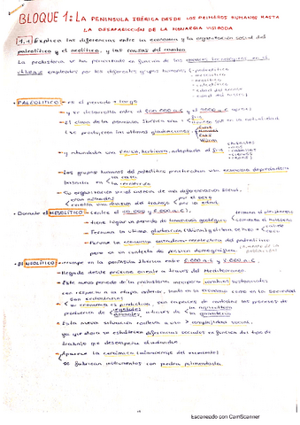 Apuntes-BLOQUE-1.pdf