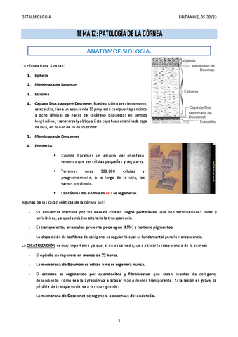 12.-Patologia-de-la-cornea.pdf