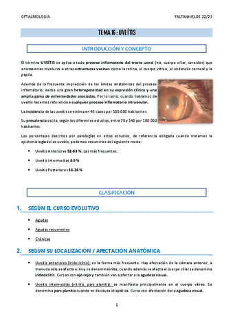 16.-Uveitis.pdf
