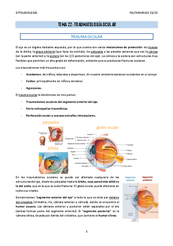 22.-Traumatologia-ocular.pdf