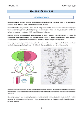 23.-Vision-binocular.pdf