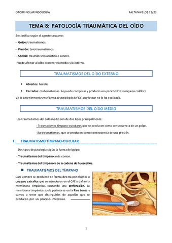 8.-Patologia-traumatica-del-oido.pdf