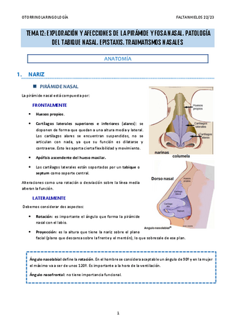 12.-Exploracion-y-afecciones-de-la-piramide-y-fosa-nasal.-Patologia-del-tabique-nasal.-Epistaxis.-Traumatismos-nasales.pdf