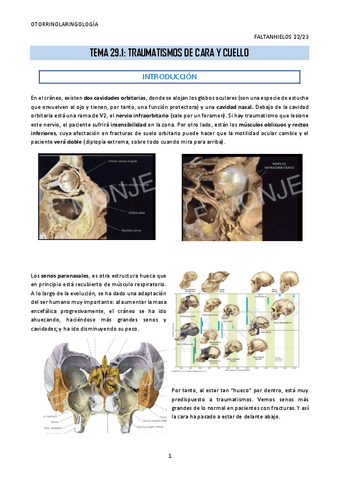 29.1.-Traumatismos-de-cara-y-cuello.pdf