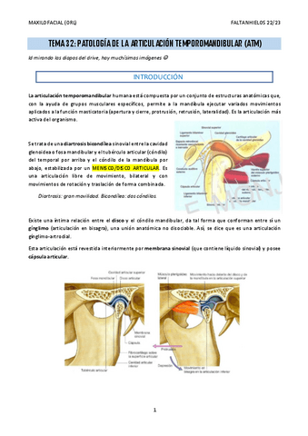 32.-Patologia-de-la-articulacion-temporomandibular.pdf