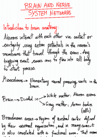 10-Brain-and-nerve-system-networks230514111345.pdf