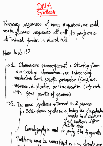 14-Dna-synthesis230528112906.pdf