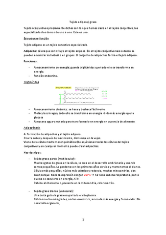 Tema-3-Adiposo.pdf