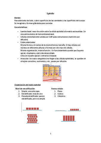Tema-1-Epitelios.pdf