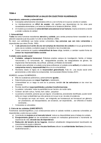 4.-Promocion-de-la-salud-en-colectivos-vulnerables.pdf