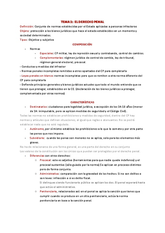 PENAL-T.1-13.pdf