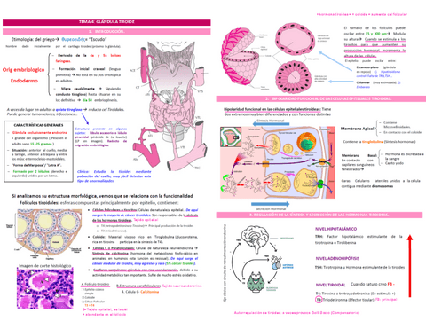 TEMA-4.pdf