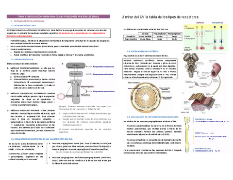 TEMA-5.pdf