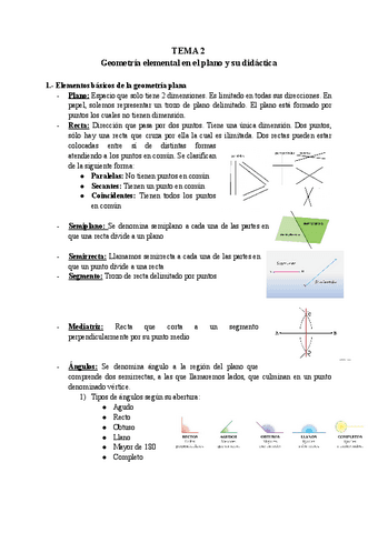 TEMA-2-GEOMETRIA.pdf