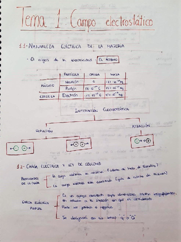 Tema 1- Campo Electrostatico.pdf