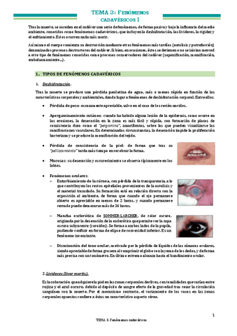 TEMA-3-Fenomenos-cadavericos.pdf