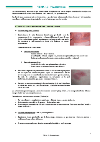 TEMA-13-Traumatismos.pdf