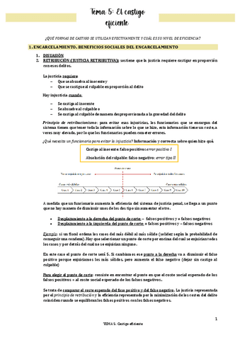 TEMA-5-El-castigo-eficiente.pdf