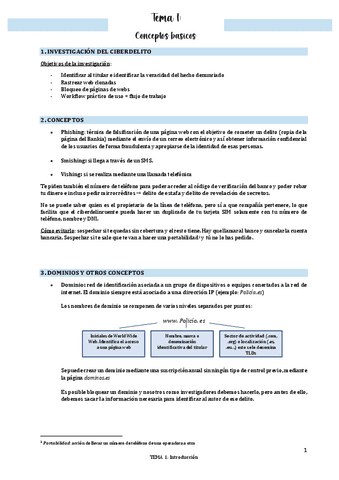 TEMA-1-Conceptos-basicos.pdf