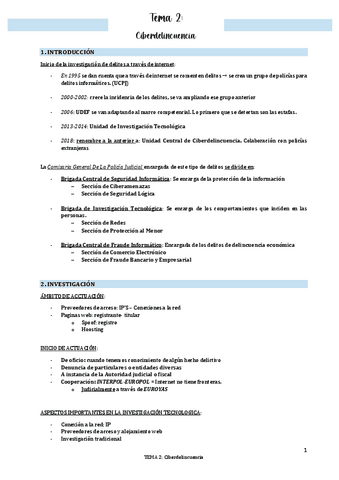 TEMA-2-Ciberdelincuencia.pdf