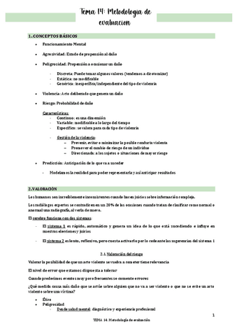 TEMA-14-Metodologia-de-evaluacion.pdf