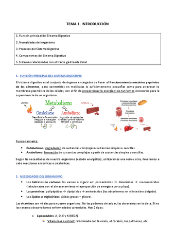 BLOQUE IV: Sistema digestivo (completo).pdf
