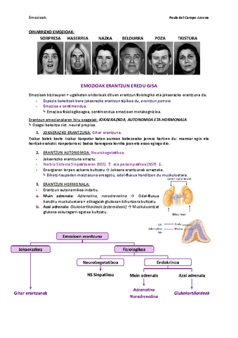 6.-gaiaemozioak-Documentos-de-Google.pdf
