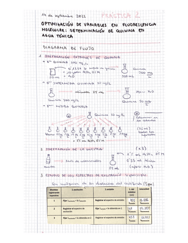 P2-analitica.pdf