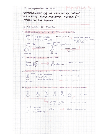 P4-analitica.pdf