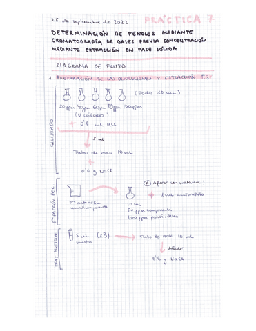 P7-analitica.pdf