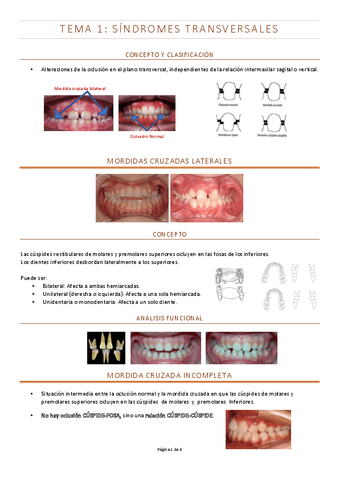 Ortodoncia-II-Temario-completo.pdf