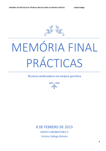Memória final prácticas TÈCNICAS.pdf