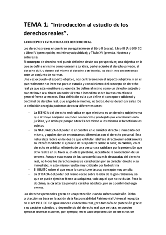 TEMA-1.-DCHOS-REALES.pdf