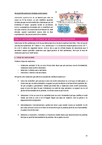 Apunts_Microbiologia-molecular_2on-parcial.pdf