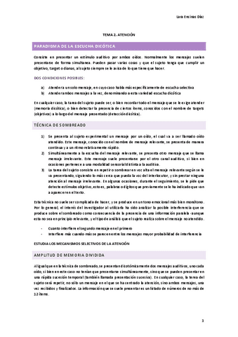 TEMA-2-ATENCION-Y-FUNCIONES-EJECUTIVAS.pdf