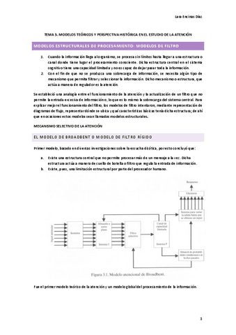 TEMA-3-ATENCION-Y-FUNCIONES-EJECUTIVAS.pdf