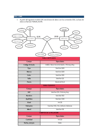 SQL-Actividad-DDL-Y-DML.docx.pdf