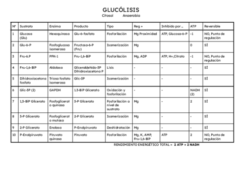 Metabolismo.pdf
