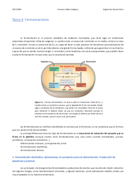 3. Fermentaciones.pdf