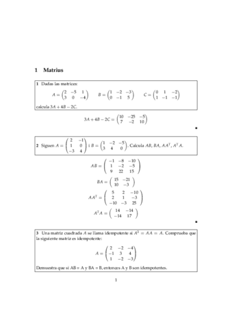 Problemas-Matrices.pdf