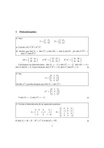 Problemas-Determinantes.pdf