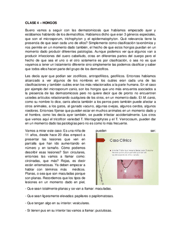 Hongos-4.pdf