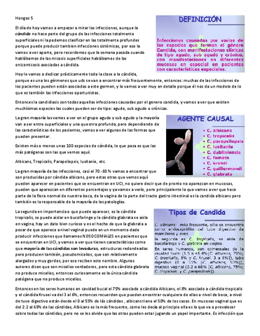 Hongos-5.pdf