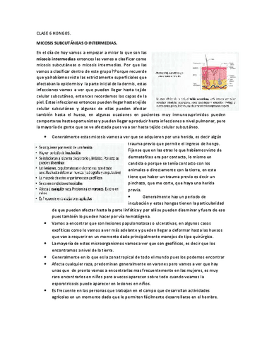 Hongos-6.pdf