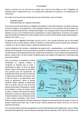 5.-parasitos-5-ok.pdf