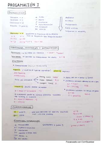 Programacion-1.pdf